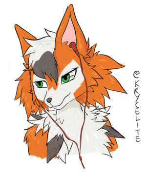 Lyra // ____Tem____ (twitter)